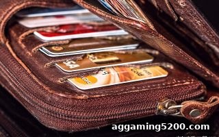 slots平台揭秘：TRC20充值审核的来龙去脉与通关技巧