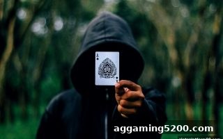 slots平台深度解析：起手牌选择的新视角与RTG电子实战指南