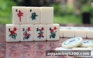 世界杯直播期间，slots平台推牌九跟注策略全新解读