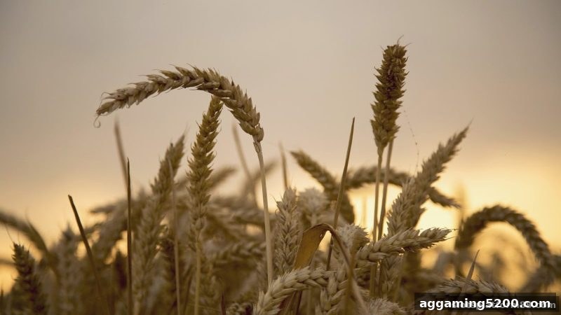 slots平台数字彩新用户奖励活动全解析：注册福利与使用指南