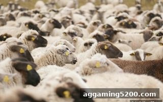 波胆技巧全解析：在slots平台掌握比分预测的核心策略